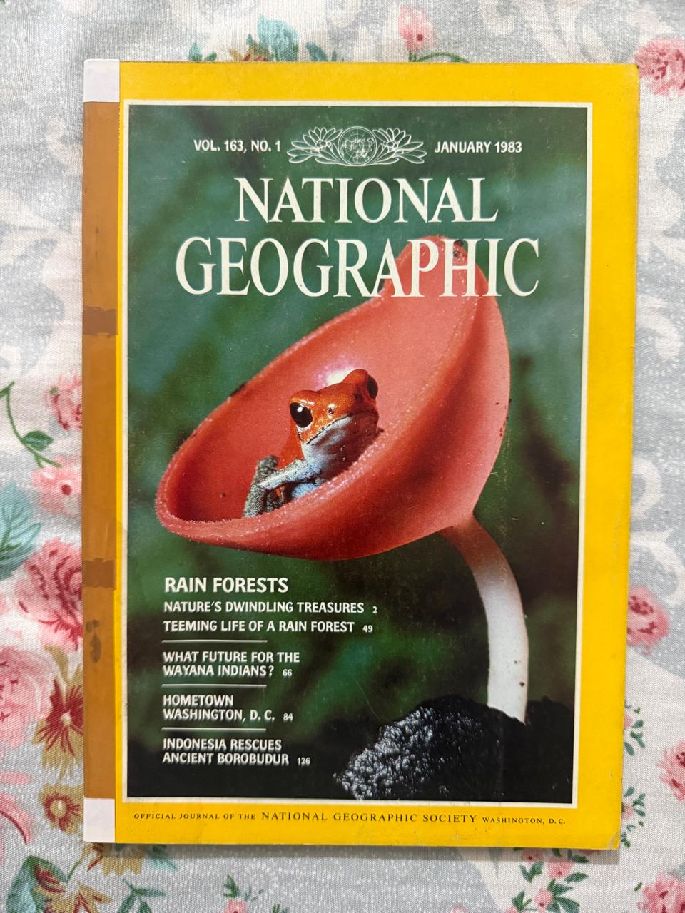 National Geographic
