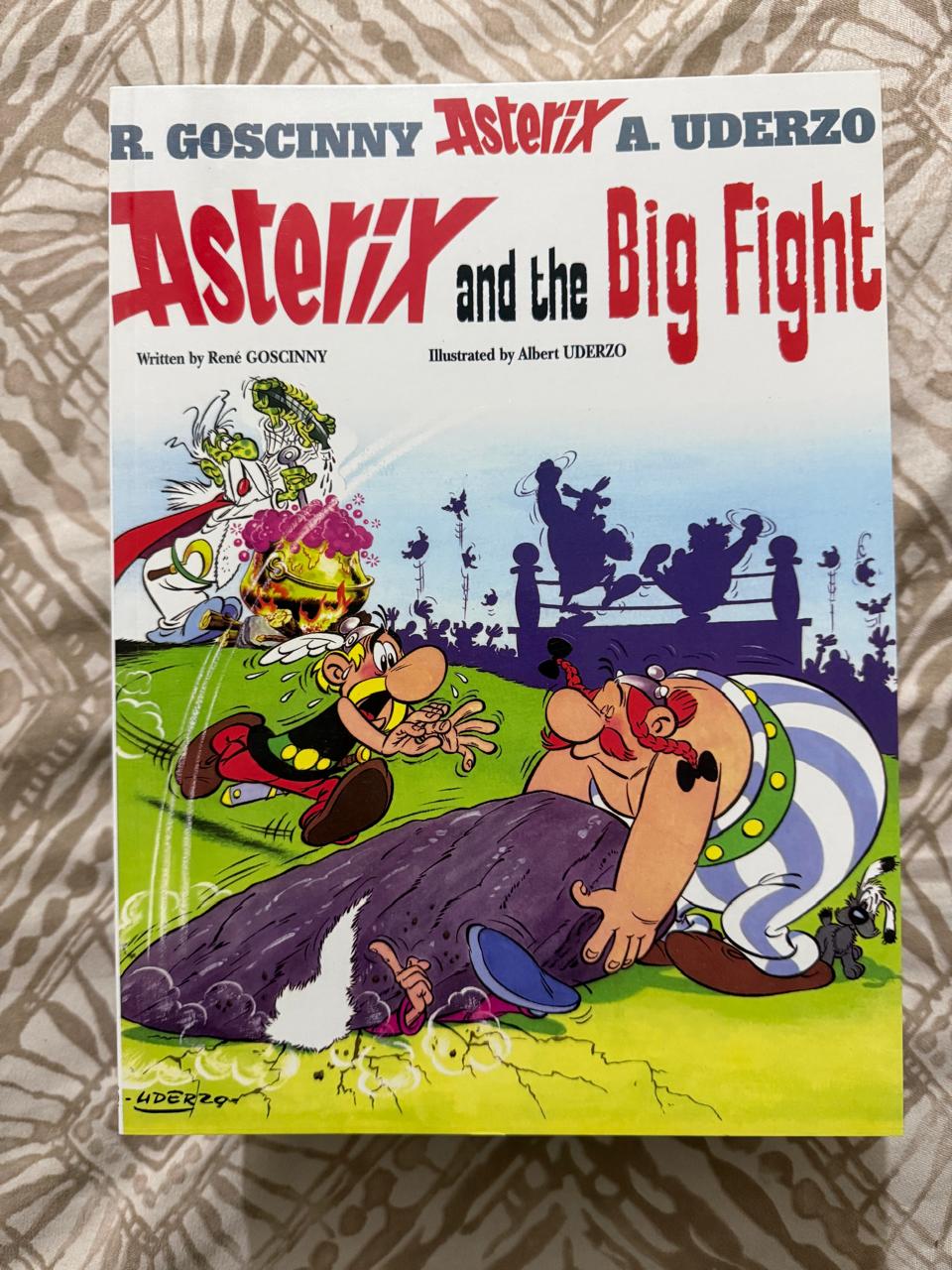 Asterix and The Big Fight