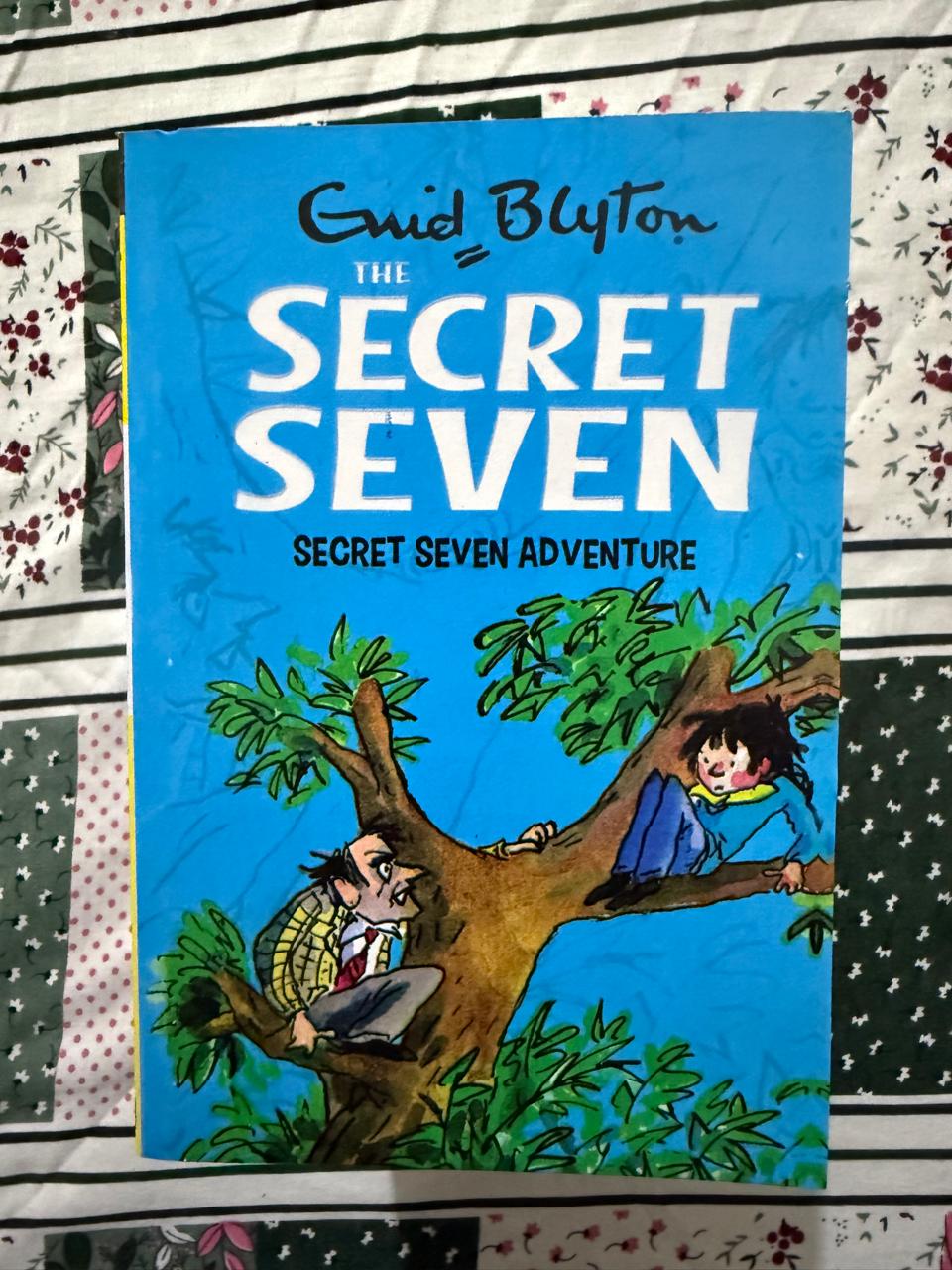 Enid Blyton