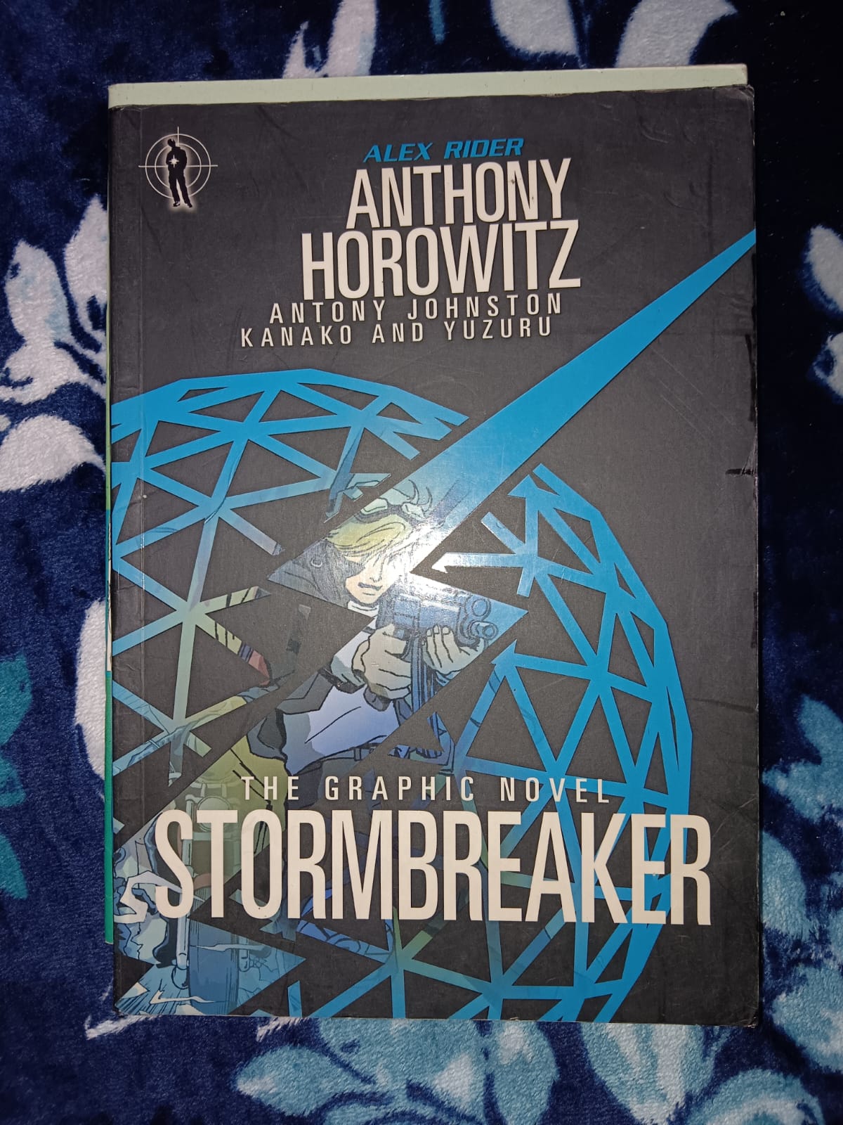The Graphic Novel