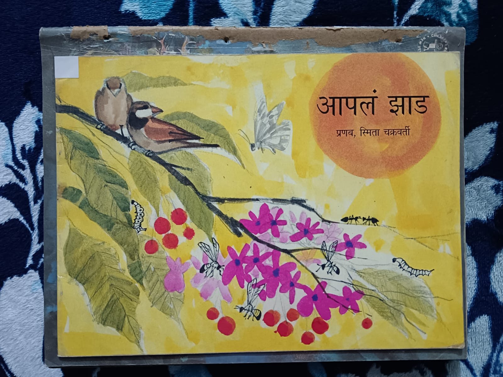 Apalam Jhaad