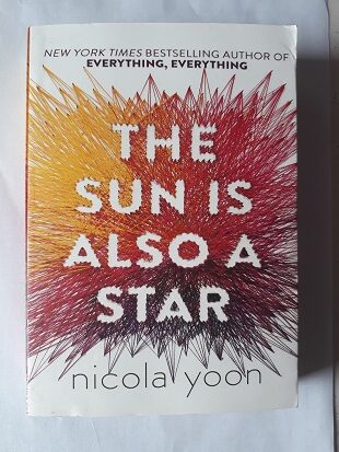 Summary of the Sun Is Also a Star by Nicola Yoon