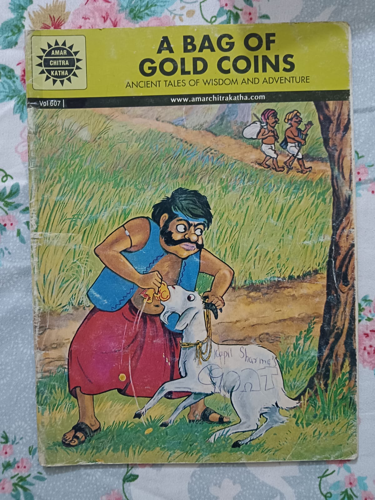 A Bag of Gold Coins