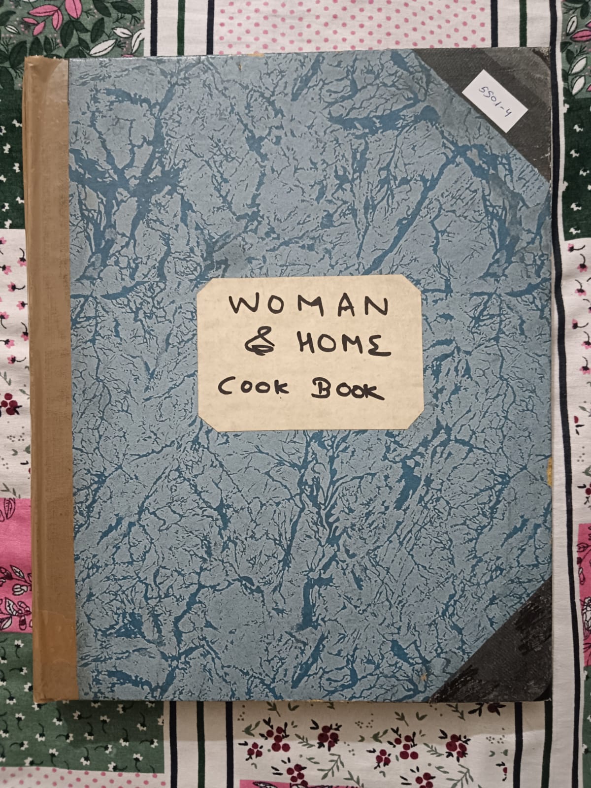 Woman And Home