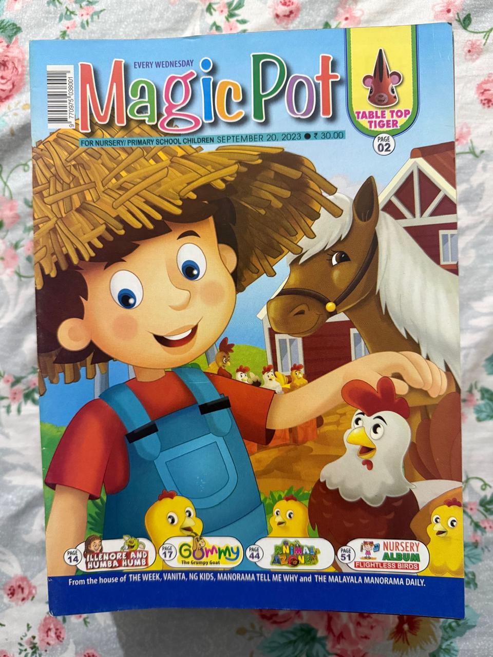 Magic Pot