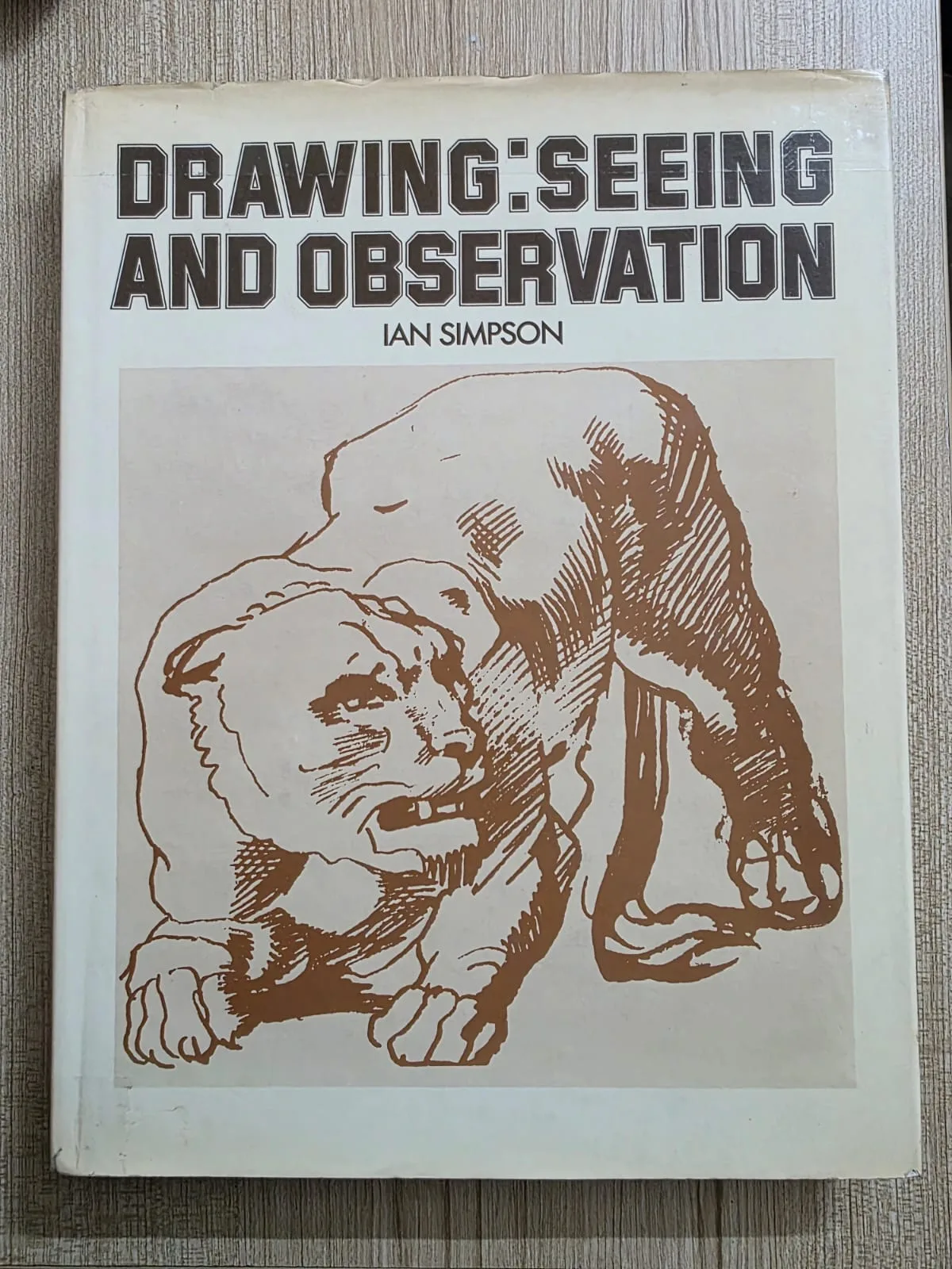 DRAWING : Seeing And Observation