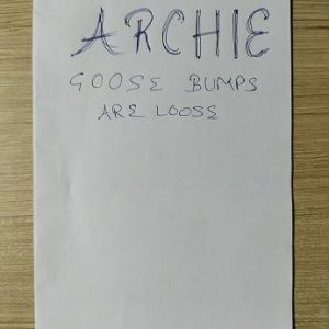 Second hand Book Archie - Goose Bumps Are Loose
