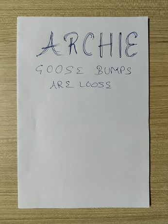 Second hand Book Archie - Goose Bumps Are Loose