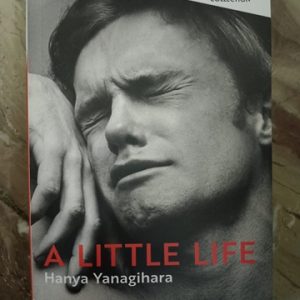 Used Book A Little Life - Hanya Yanagihara