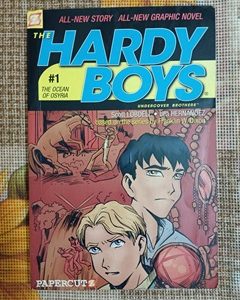 Used Book Hardy Boys - Undercover Brothers