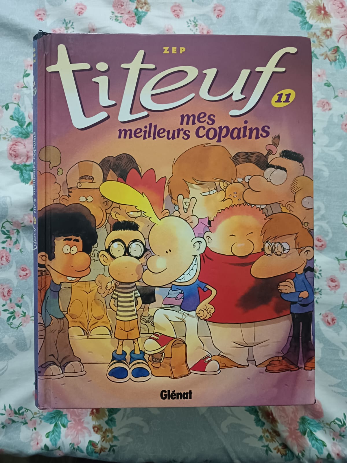 Used Book French - TITEUF - ZEP - Mes Meilleurs Copains - Glenat - Bruno Chevrier - Cartoons - Childrens - French Comic