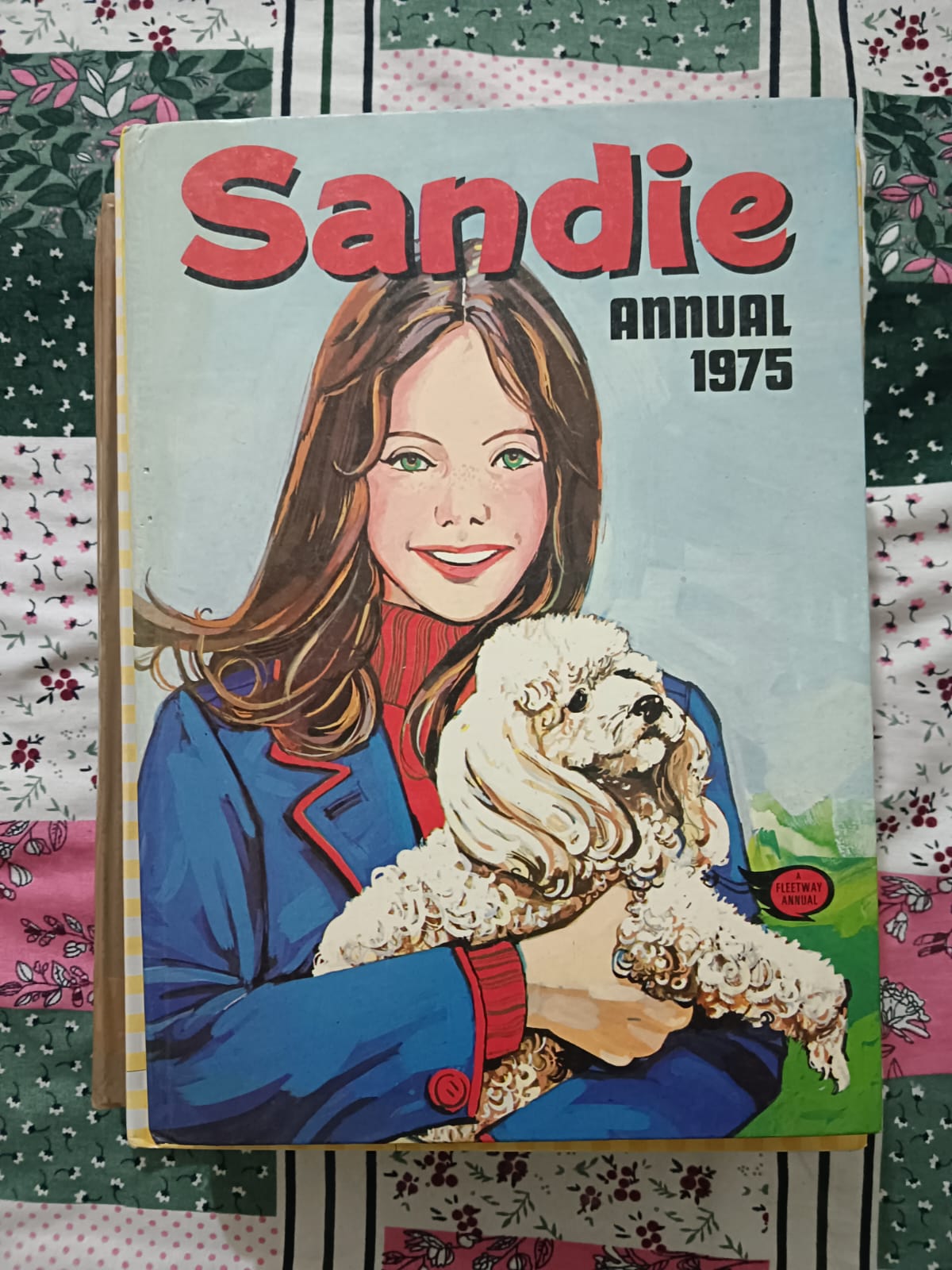 Second hand book - SANDIE 1975 - Romantic Stories for Girls in Comic and Cartoon Format - Hardbound - Collectible Edition - Black & White