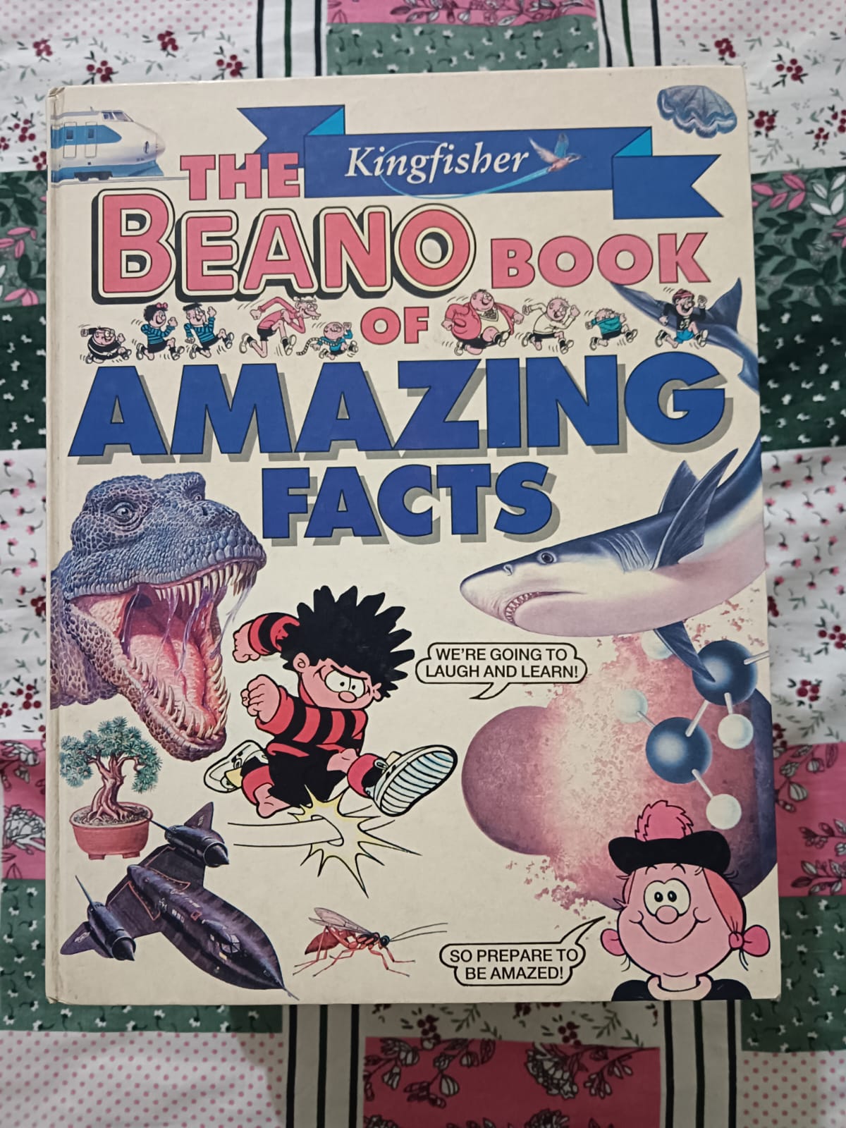 Second hand book - The Kingfisher Beano Book of Amazing Facts - A Fun Filled Adventure of Kids as well as Adults