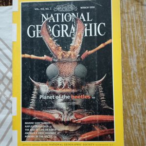Second Hand Book - National Geographic - Planet of the Beetles - Marine Sancturies - Naples Unabashed - The Rise of Life on Earth - America's First Highway - Nomands of the Arctic