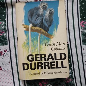 Used Book - Catch Me A Colobus - Gerald Durrell - Hardbound - Illustrated By Edward Mortelmans - Colins