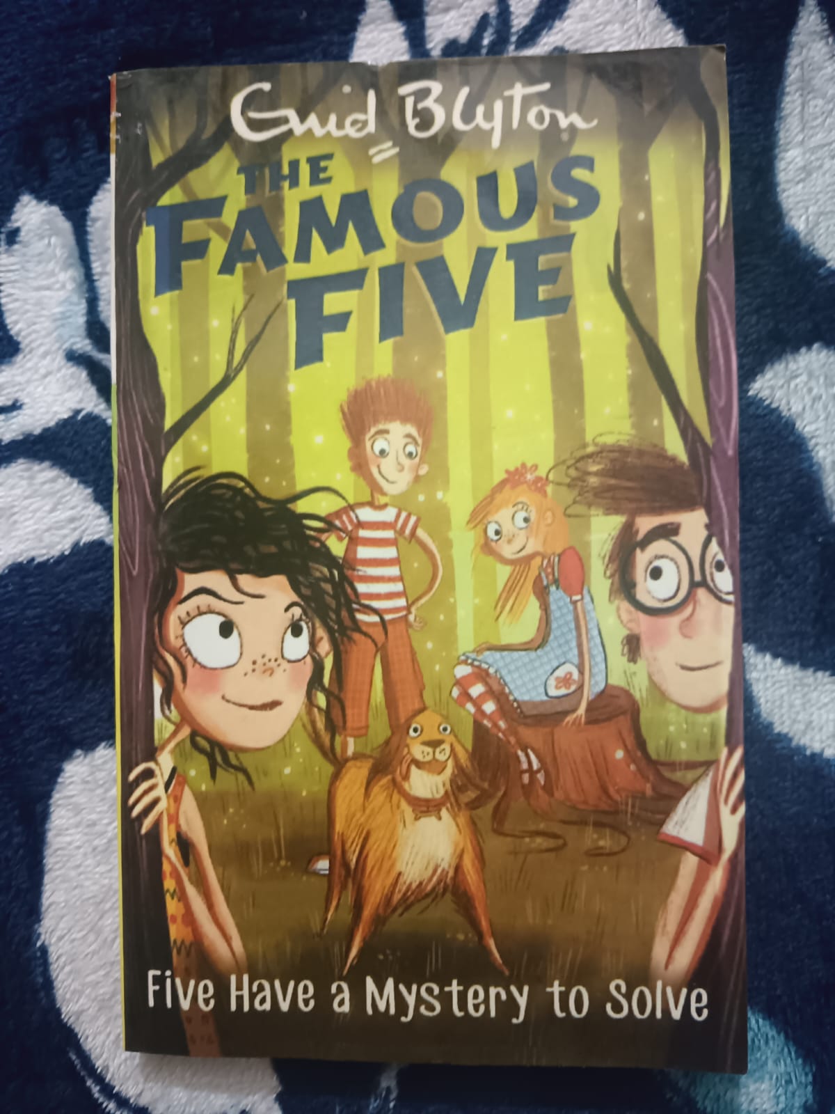 Used Book - Enid Blyton - The Famous Five - Five Have A Mystery To Solve