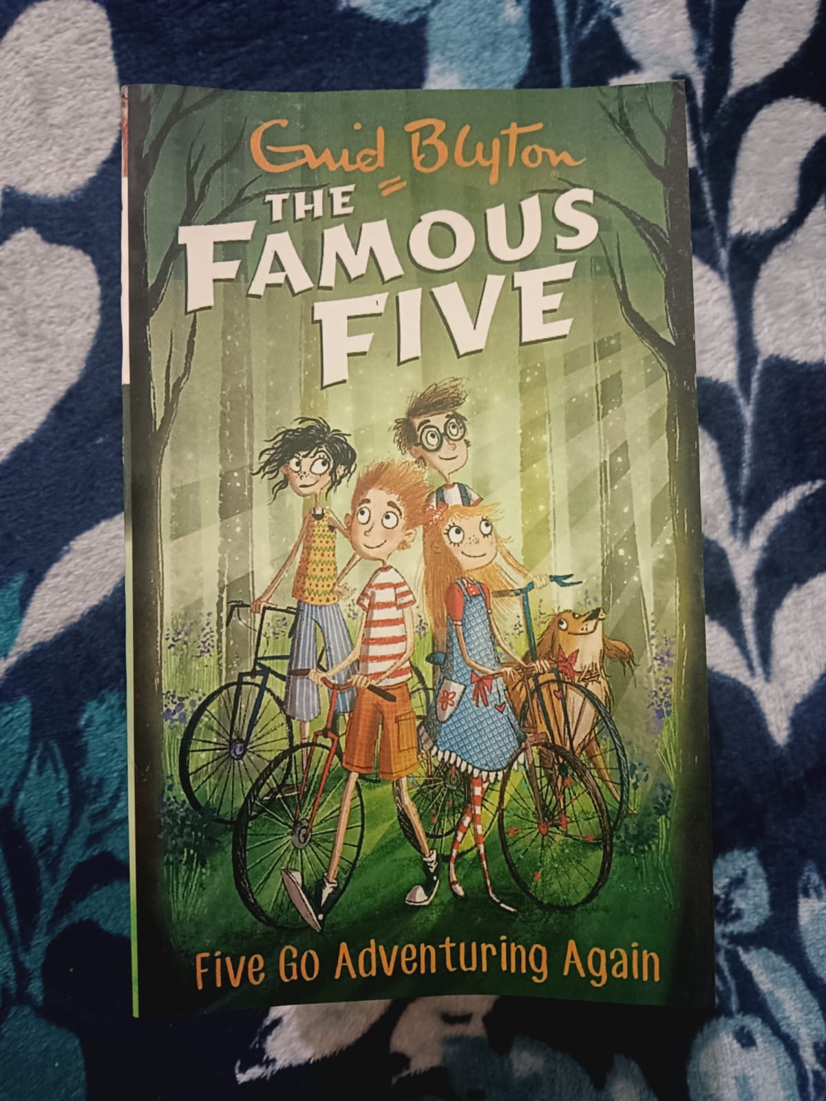 Used Book - Enid Blyton - The Famous Five - Five Go Adventuring Again