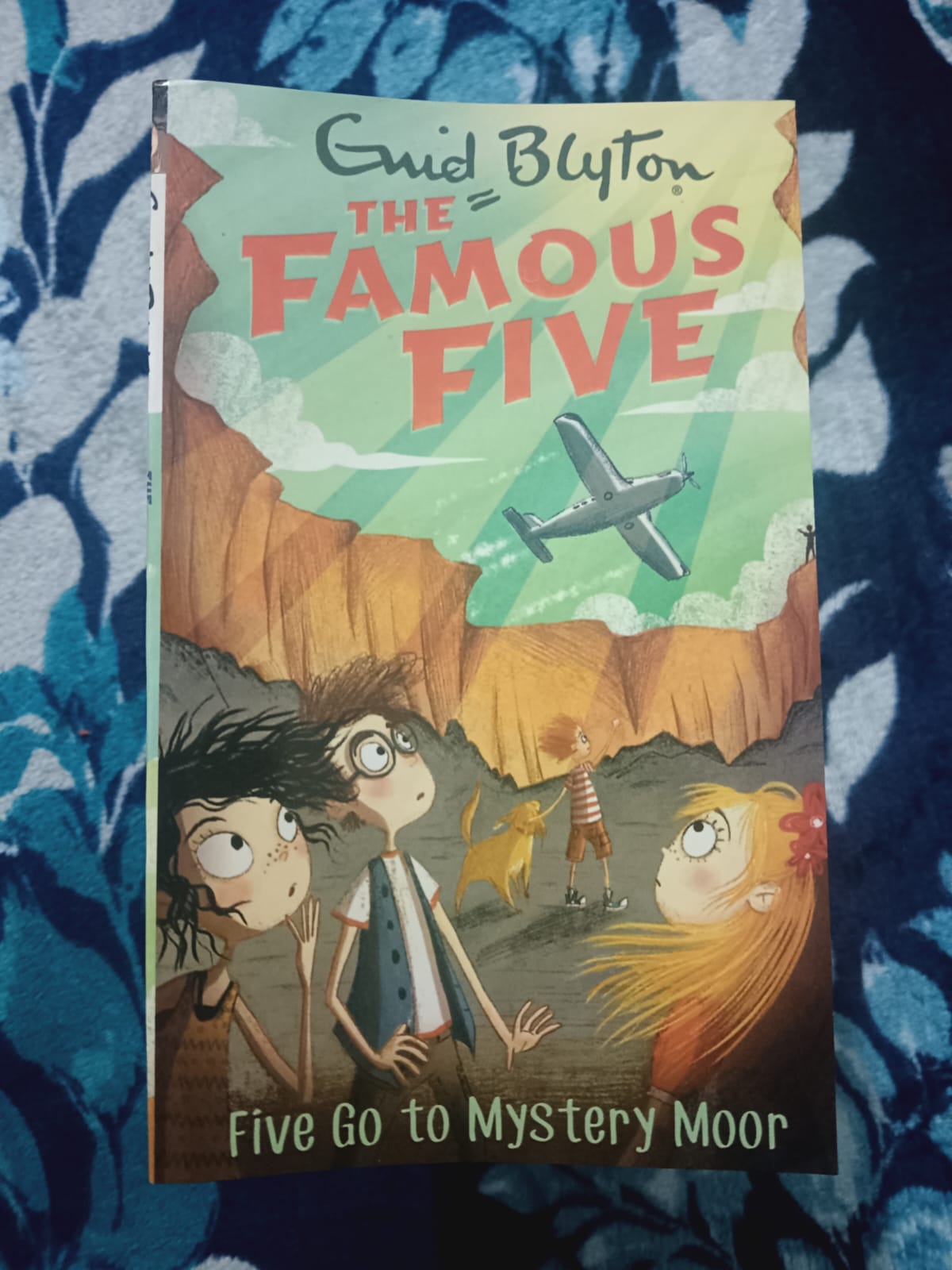 Used Book - Enid Blyton - The Famous Five - Five Go To Mystery Moor