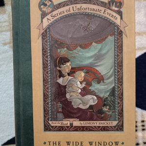 Used Book - A Series of Unfortunate Events - The Wide Window - Lemony Snicket - Illustrations by Brett Helquist - Harper Collins