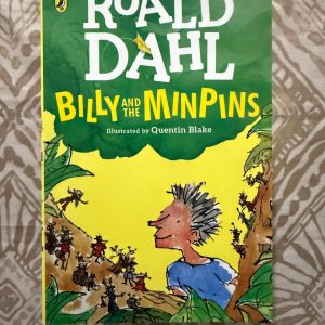 Roald Dahl - Billy and the MinPins - Illustrated by Quentin Blake - The Mischievous World of Children's Imagination