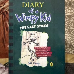 Used Book Diary of a Wimpy Kid - The Last Straw - Jeff Kinney - A Novel In Cartoon