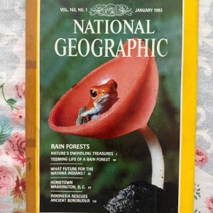 Second Hand Book - National Geographic - January 1983 - Rain Forests Nature's Dwindling Treasure, Teeming Life of A Rain Forest - What Future For The Wayana Indians - Hometown Washington D.C. - Indonesia Rescues Ancient Borobudur - This iconic January 1983 edition of *National Geographic* is a masterclass in journalism. It brilliantly balances environmental urgency in its rainforest coverage with profound human storytelling about the Wayana Indians. Paired with a stunning look at Borobudur’s restoration and a nostalgic tribute to Washington, D.C., it remains a timeless, breathtaking collective treasure.